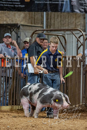 2021_MAYESCOUNTYFAIR_-4759