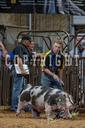 2021_MAYESCOUNTYFAIR_-4760