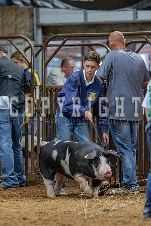 2021_MAYESCOUNTYFAIR_-4761