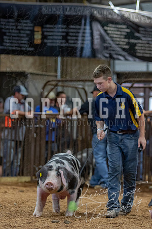 2021_MAYESCOUNTYFAIR_-4763