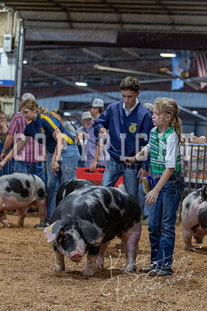 2021_MAYESCOUNTYFAIR_-4762