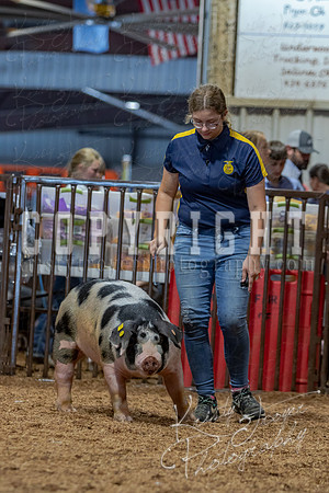2021_MAYESCOUNTYFAIR_-4765