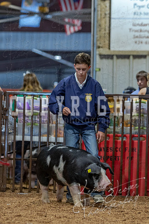 2021_MAYESCOUNTYFAIR_-4767