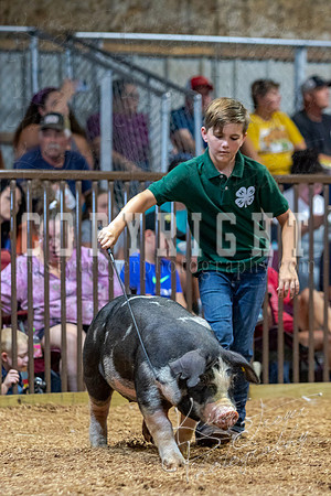 2021_MAYESCOUNTYFAIR_-4766