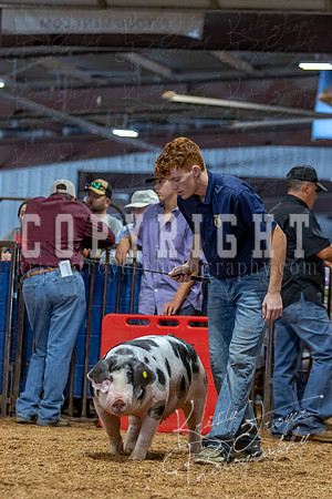 2021_MAYESCOUNTYFAIR_-4768
