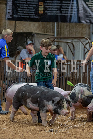 2021_MAYESCOUNTYFAIR_-4769