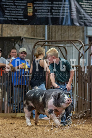 2021_MAYESCOUNTYFAIR_-4774