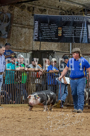 2021_MAYESCOUNTYFAIR_-4773