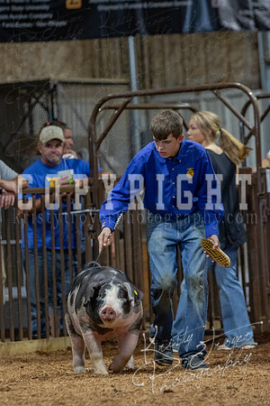 2021_MAYESCOUNTYFAIR_-4776