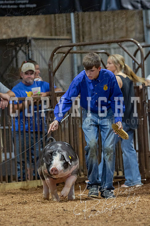 2021_MAYESCOUNTYFAIR_-4777