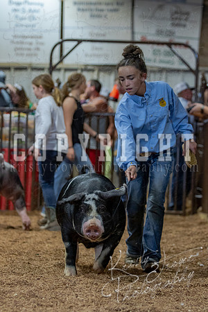 2021_MAYESCOUNTYFAIR_-4780