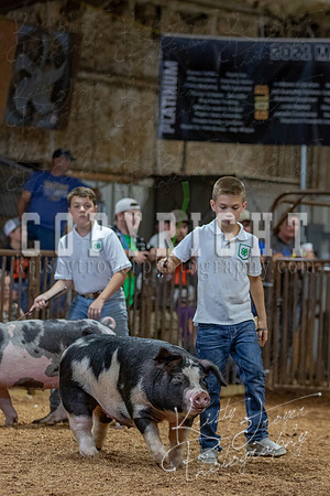 2021_MAYESCOUNTYFAIR_-4779
