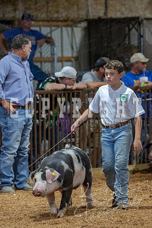 2021_MAYESCOUNTYFAIR_-4778