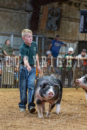 2021_MAYESCOUNTYFAIR_-4783