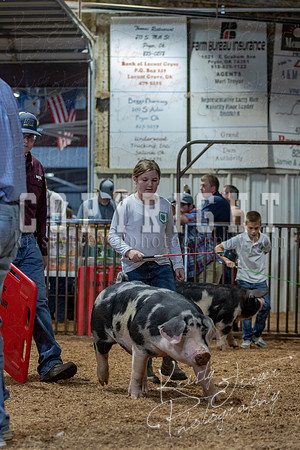 2021_MAYESCOUNTYFAIR_-4786