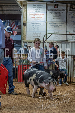 2021_MAYESCOUNTYFAIR_-4787