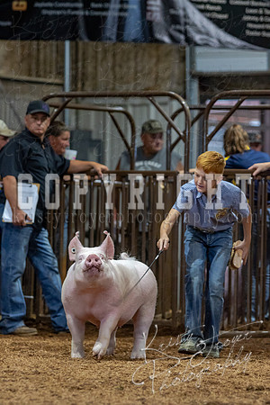 2021_MAYESCOUNTYFAIR_-4789