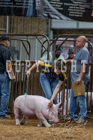 2021_MAYESCOUNTYFAIR_-4790