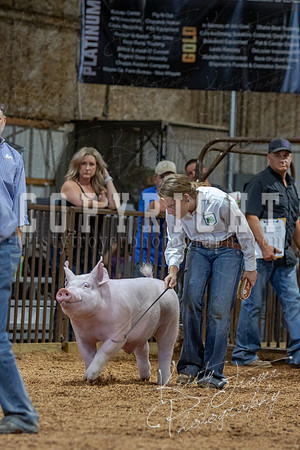 2021_MAYESCOUNTYFAIR_-4792