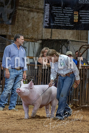 2021_MAYESCOUNTYFAIR_-4793