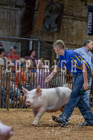 2021_MAYESCOUNTYFAIR_-4794