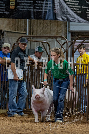 2021_MAYESCOUNTYFAIR_-4797