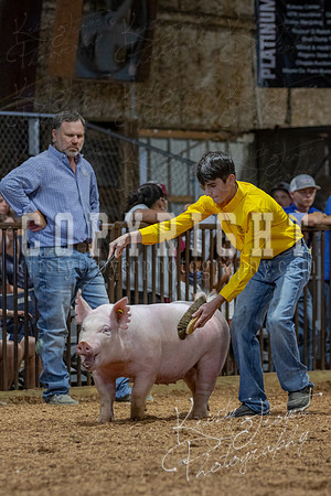 2021_MAYESCOUNTYFAIR_-4798