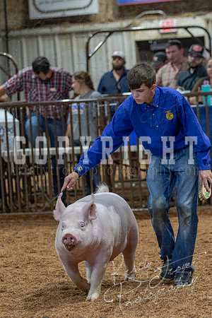 2021_MAYESCOUNTYFAIR_-4801