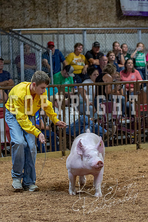 2021_MAYESCOUNTYFAIR_-4802