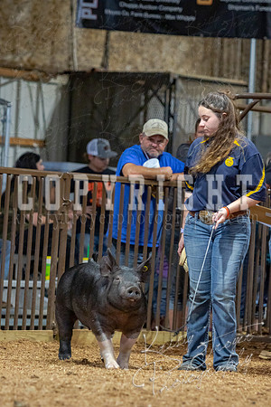 2021_MAYESCOUNTYFAIR_-4803