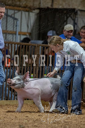 2021_MAYESCOUNTYFAIR_-4804