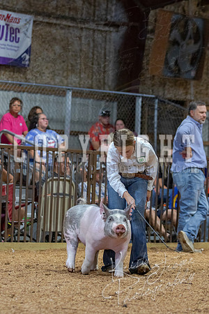 2021_MAYESCOUNTYFAIR_-4805