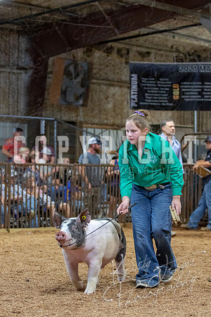 2021_MAYESCOUNTYFAIR_-4807