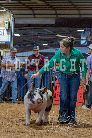 2021_MAYESCOUNTYFAIR_-4810
