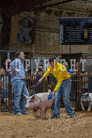 2021_MAYESCOUNTYFAIR_-4811