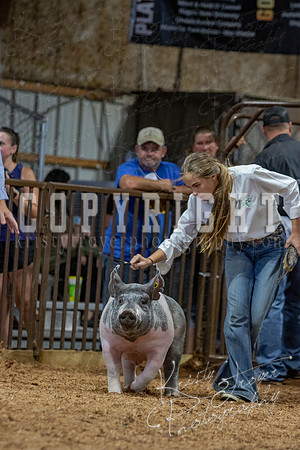 2021_MAYESCOUNTYFAIR_-4812