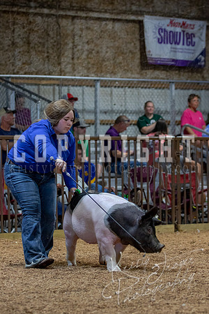 2021_MAYESCOUNTYFAIR_-4816