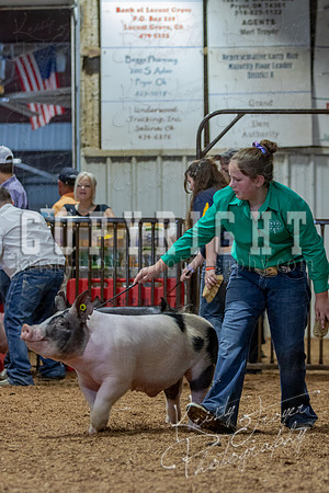 2021_MAYESCOUNTYFAIR_-4817