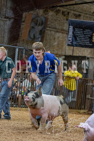 2021_MAYESCOUNTYFAIR_-4822