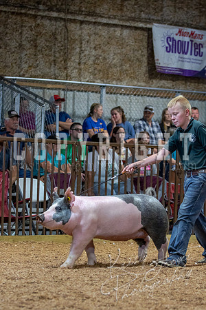 2021_MAYESCOUNTYFAIR_-4823