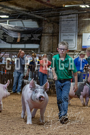 2021_MAYESCOUNTYFAIR_-4826