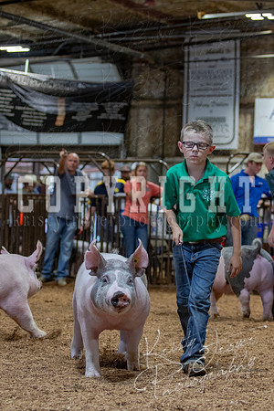 2021_MAYESCOUNTYFAIR_-4827