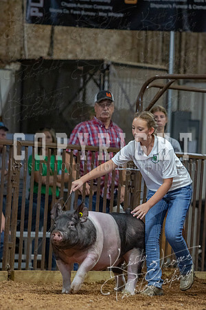2021_MAYESCOUNTYFAIR_-4715