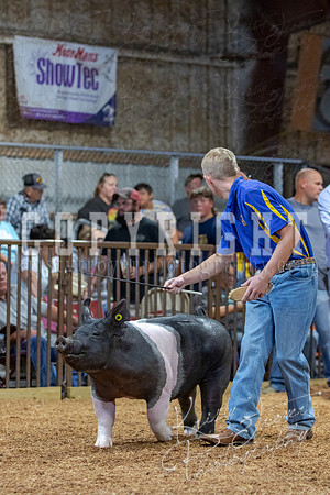 2021_MAYESCOUNTYFAIR_-4720