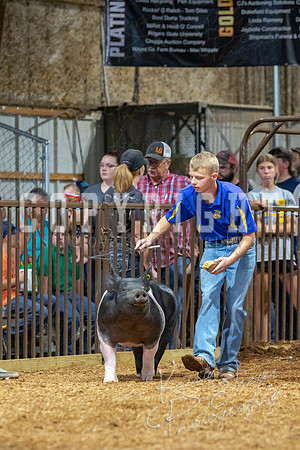 2021_MAYESCOUNTYFAIR_-4718