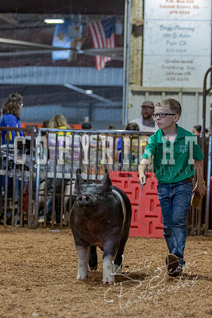 2021_MAYESCOUNTYFAIR_-4721