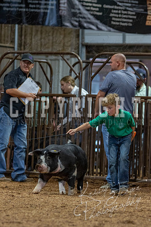 2021_MAYESCOUNTYFAIR_-4724