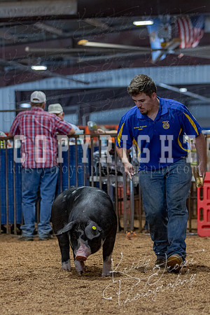 2021_MAYESCOUNTYFAIR_-4727