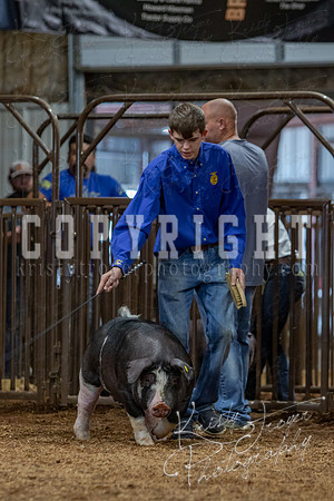 2021_MAYESCOUNTYFAIR_-4728