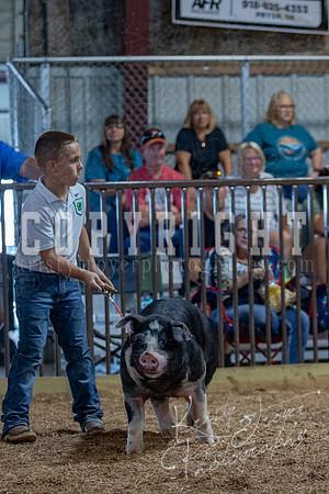 2021_MAYESCOUNTYFAIR_-4731